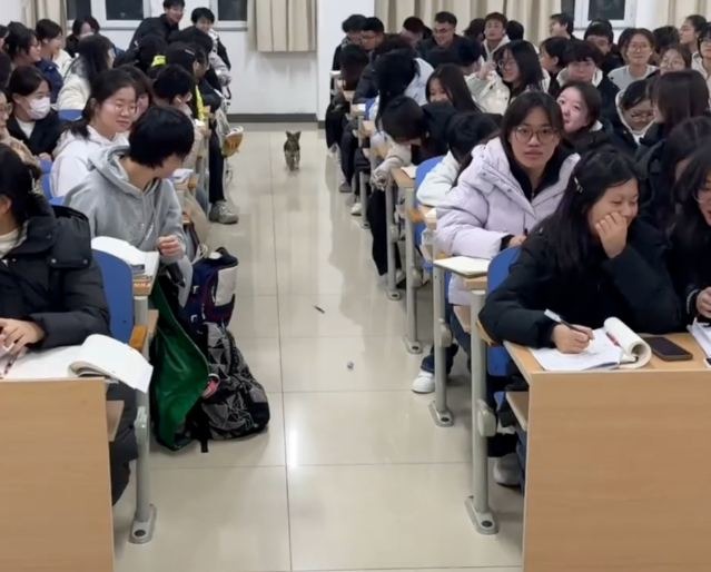 了解与关心学生将管理育人服务育人落到实处服务于学生的全面成长